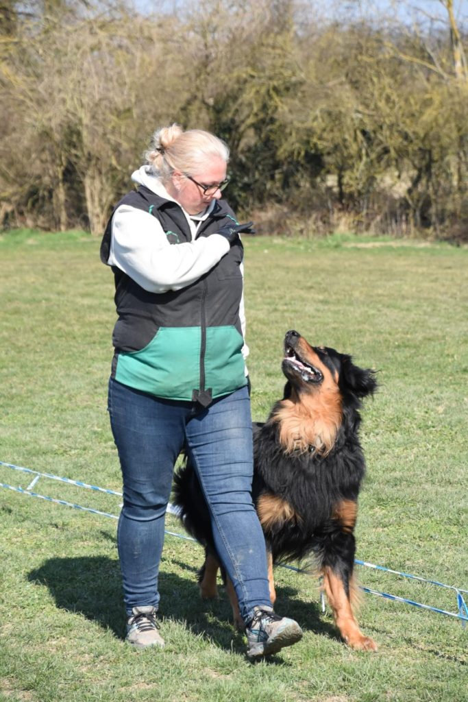 Frau mit Hovawarthund