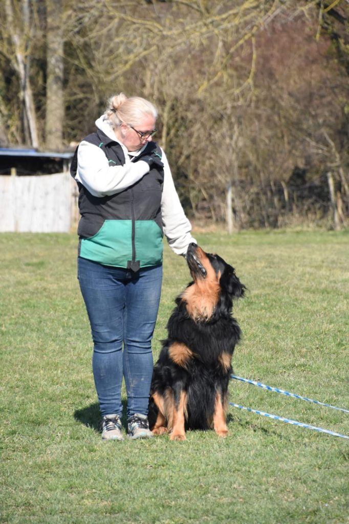 Frau mit Hovawarthund