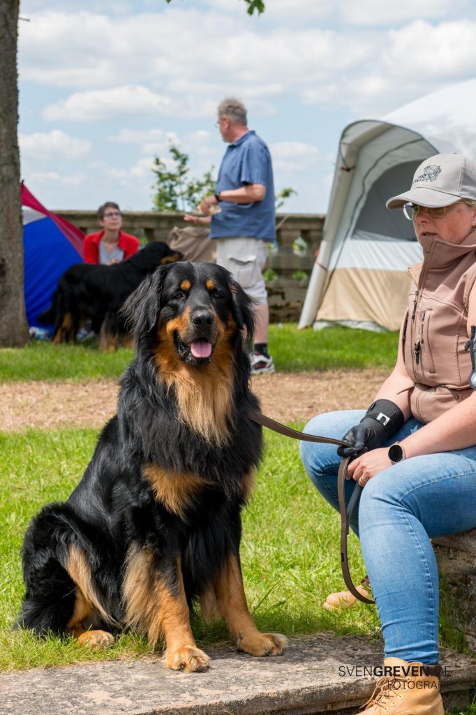 Frau mit Hovawarthund